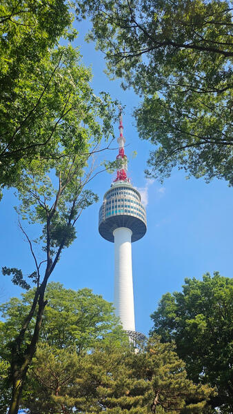 highest point in the city